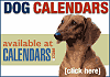 Dachshund Calendars