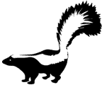 Skunk